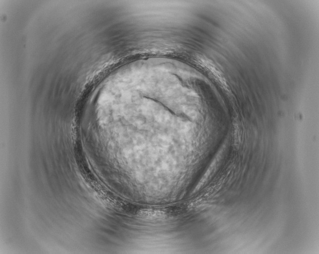 X0000087350354200705111625