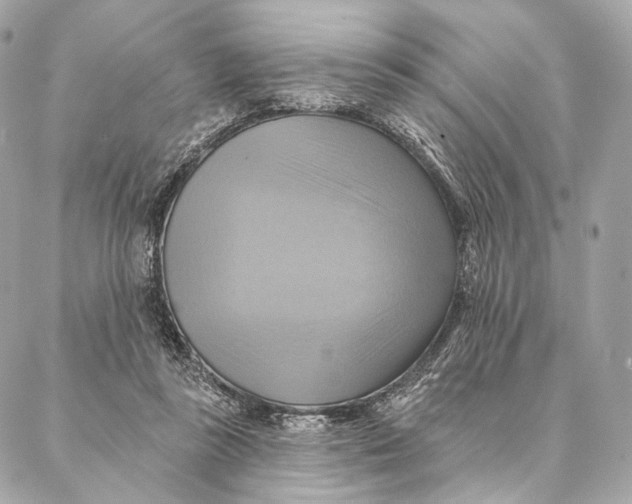 X0000087350355200705111625