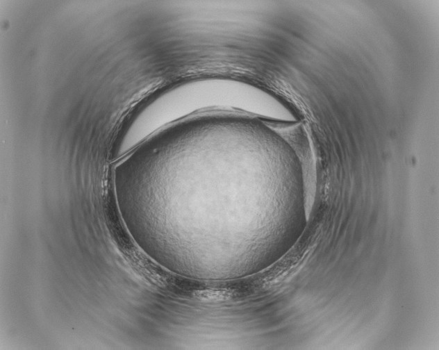X0000087350356200705111625