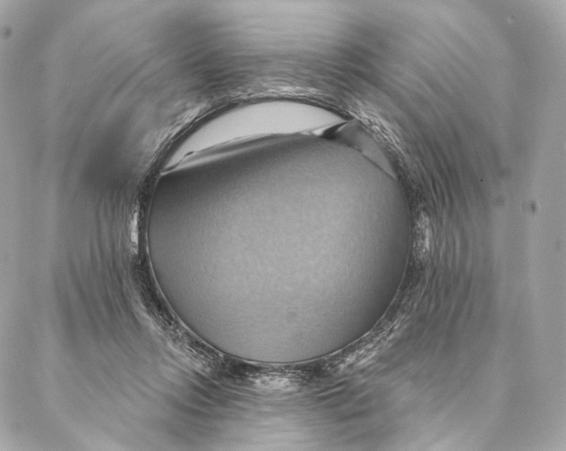 X0000087350358200705111625