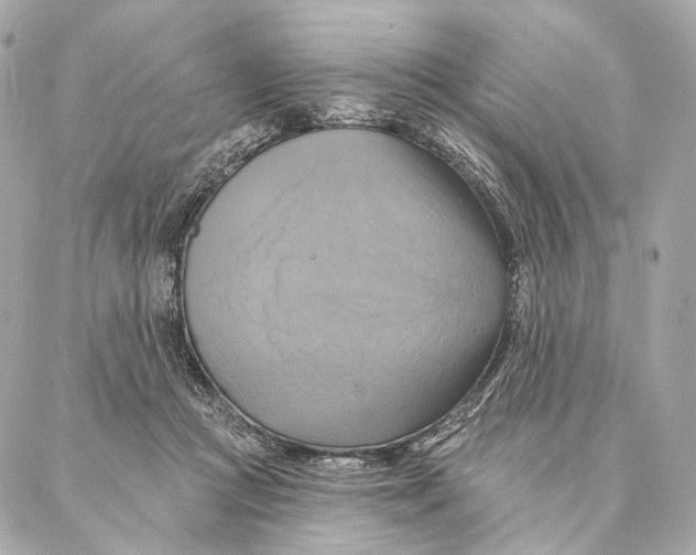 X0000087350361200705111626