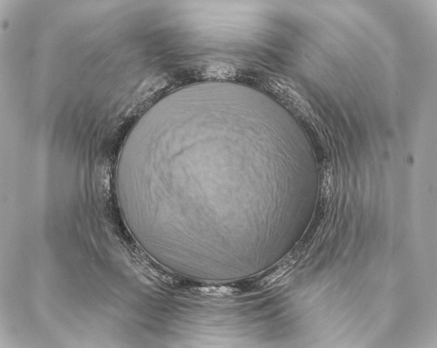 X0000087350363200705111626