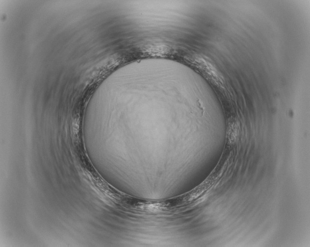 X0000087350365200705111626