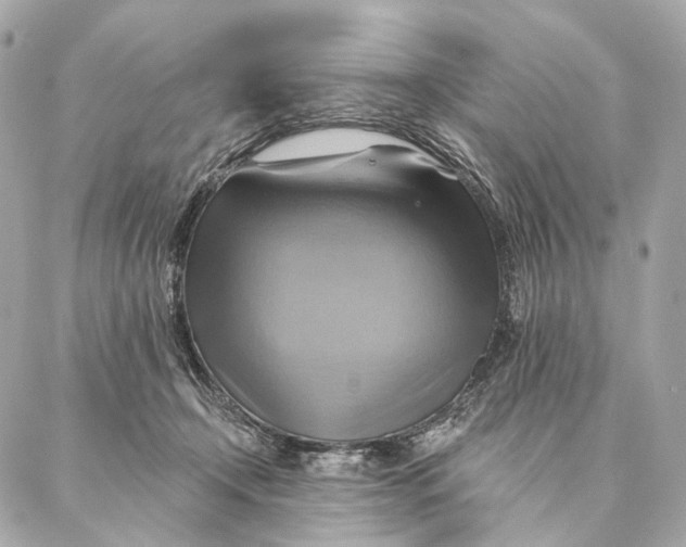 X0000087350366200705111626