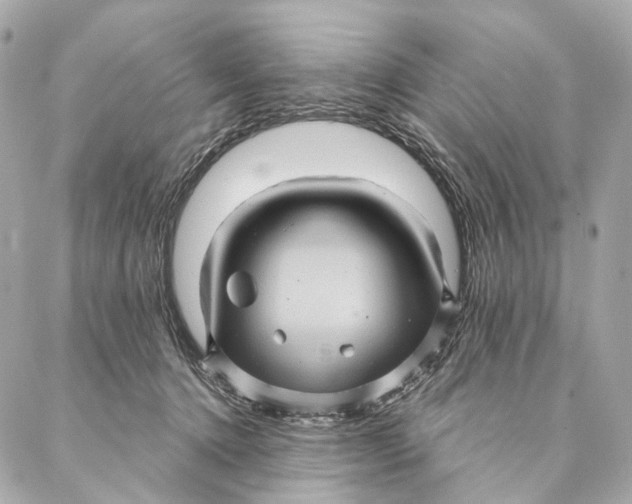 X0000087350368200705111626