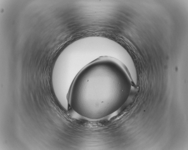 X0000087350372200705111626