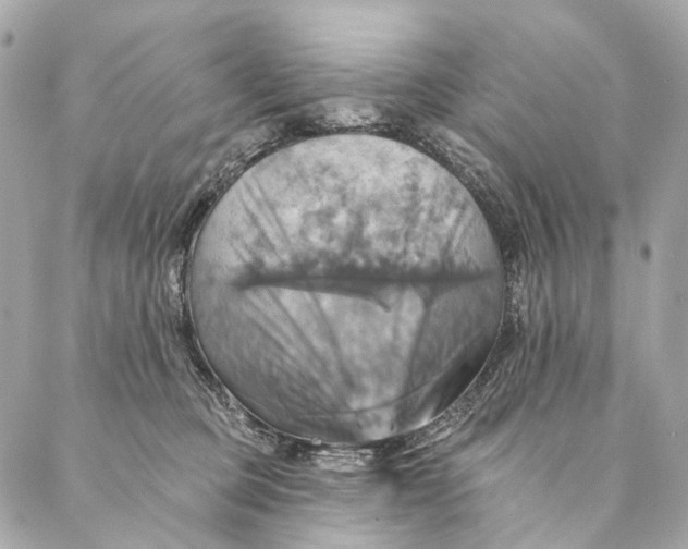 X0000087350373200705111626