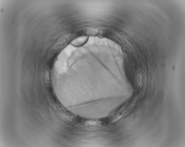 X0000087350375200705111626