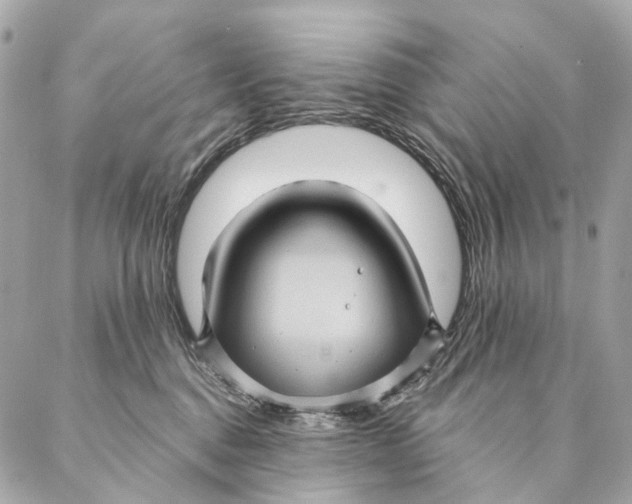 X0000087350376200705111626