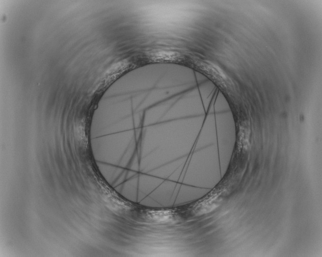 X0000087350377200705111626