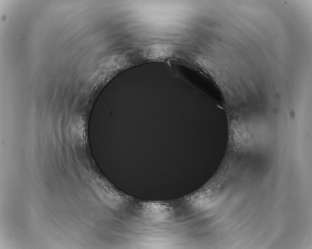 X0000087350380200705111626