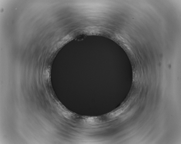 X0000087350382200705111626