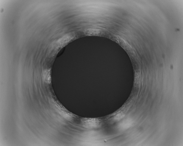 X0000087350383200705111626