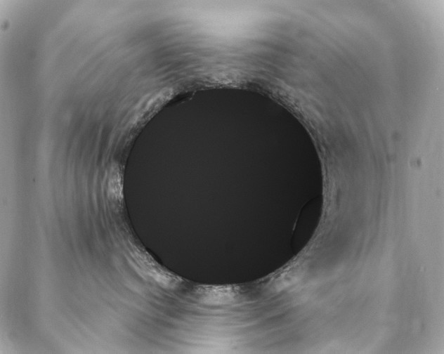 X0000087350384200705111626