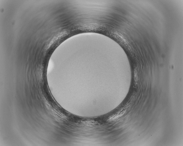 X0000087350396200705111625