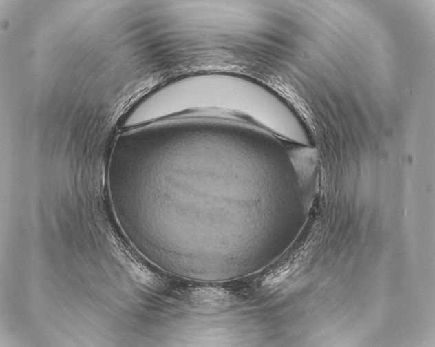 X0000087350397200705111625