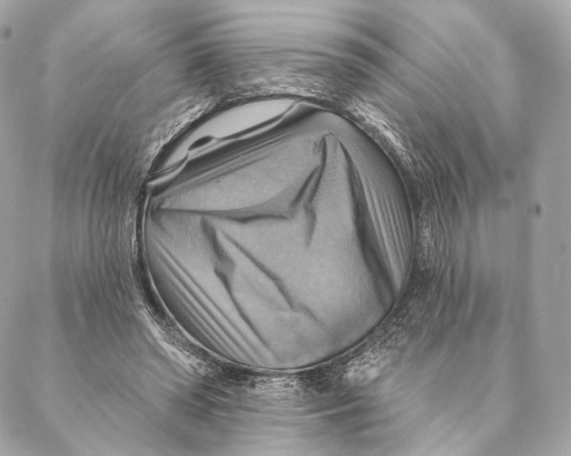X0000087350398200705111625