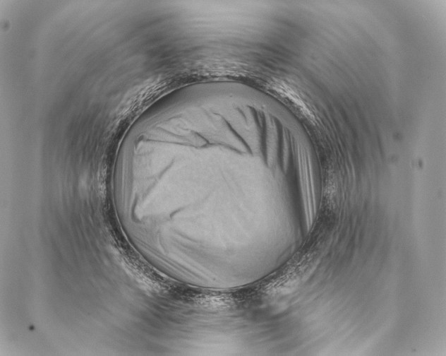X0000087350402200705111625