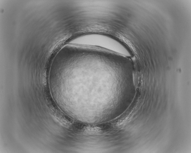 X0000087350403200705111625