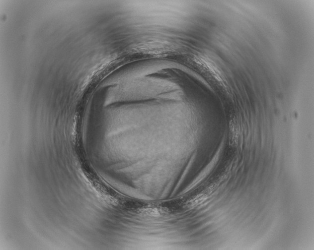 X0000087350404200705111625