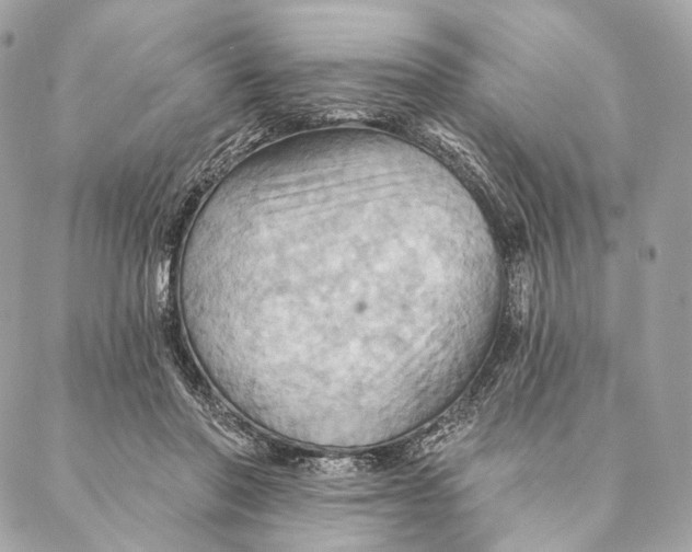 X0000087350406200705111625