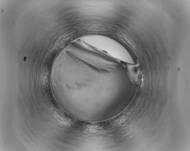 X0000087350408200705111625