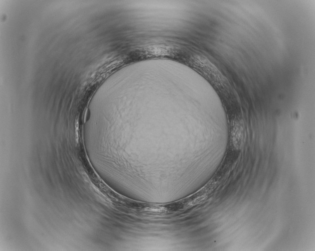 X0000087350410200705111625