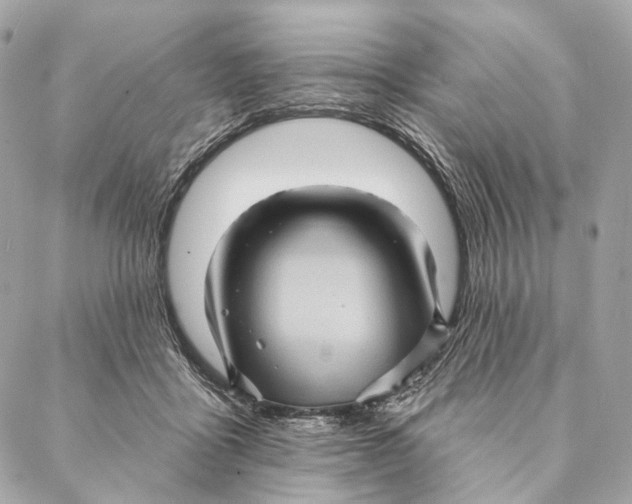 X0000087350411200705111625