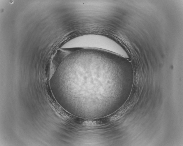 X0000087350413200705111625