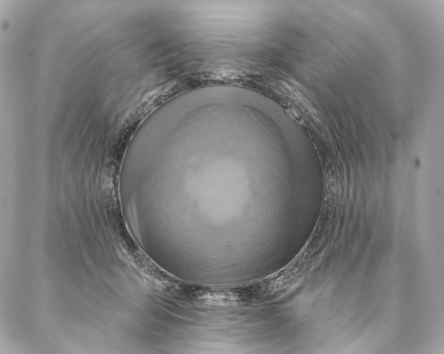 X0000087350415200705111625