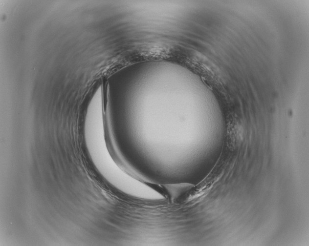 X0000087350416200705111625