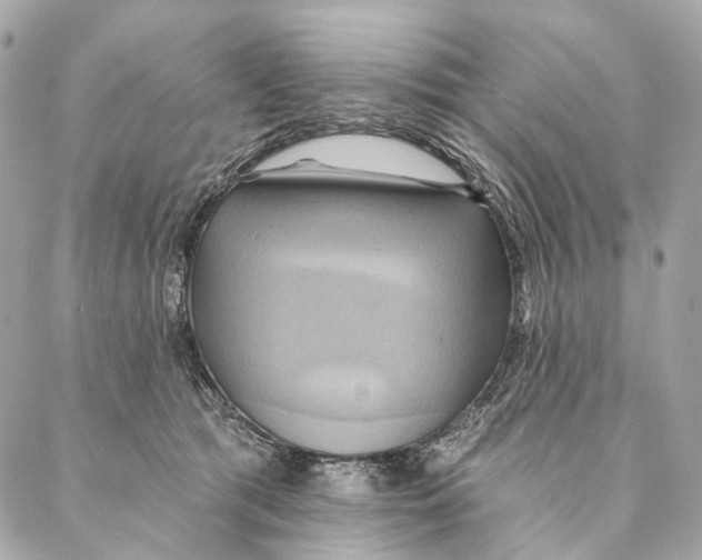 X0000087350417200705111625