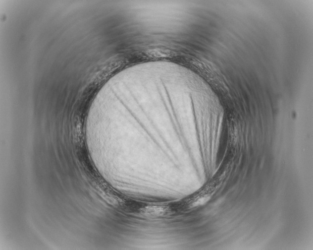 X0000087350418200705111625