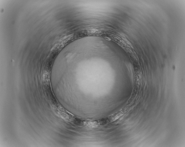 X0000087350419200705111625