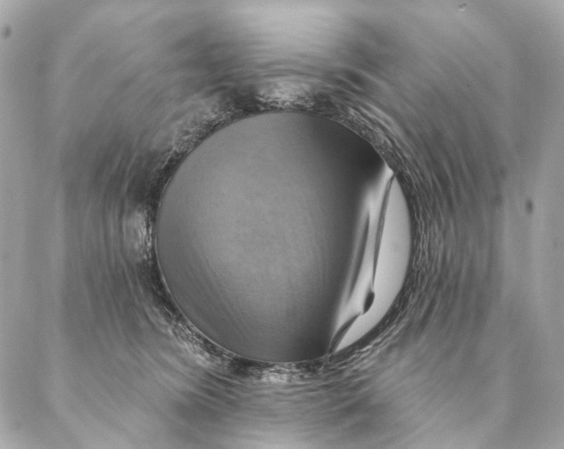 X0000087350420200705111625