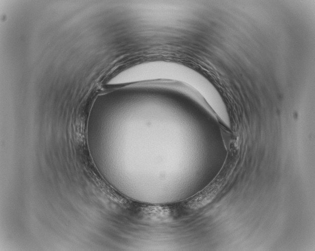 X0000087350421200705111625