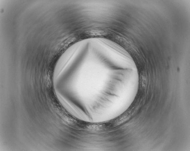X0000087350422200705111625