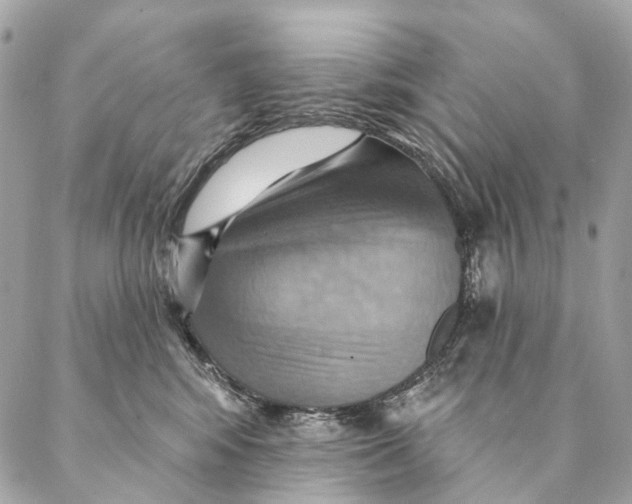 X0000087350424200705111624