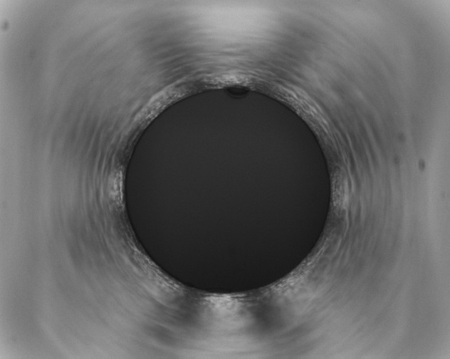 X0000087350425200705111624