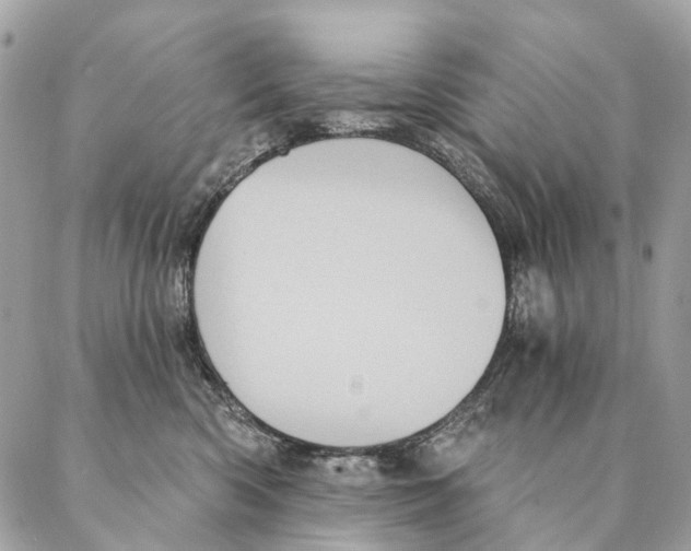 X0000087350426200705111624