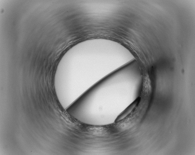 X0000087350428200705111624