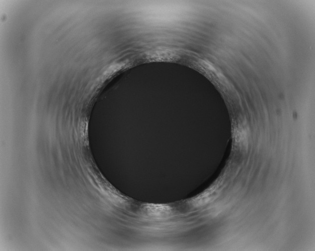 X0000087350429200705111624
