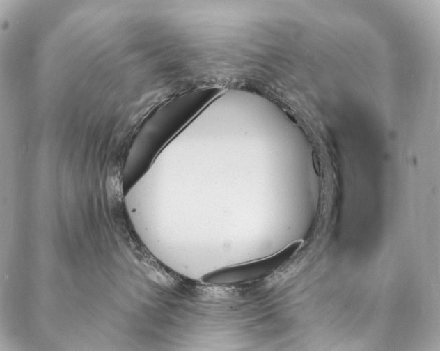 X0000087350432200705111624