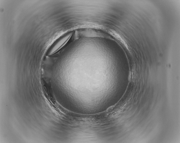 X0000087350436200705111624