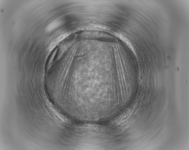 X0000087350437200705111624