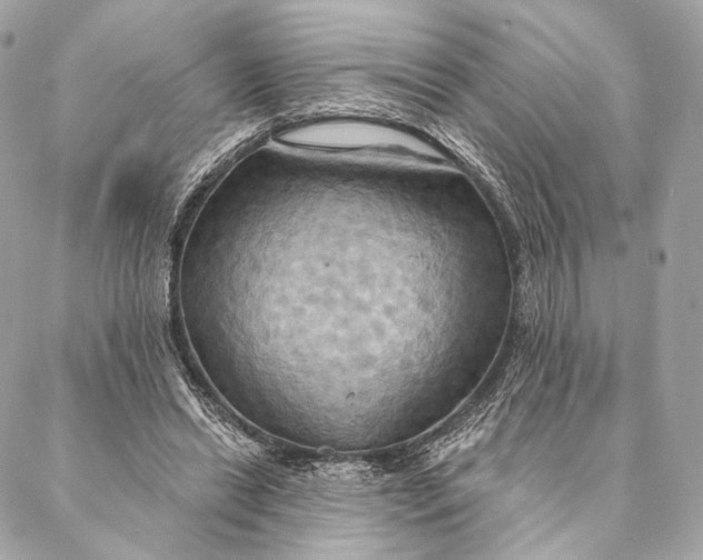 X0000087350446200705111624