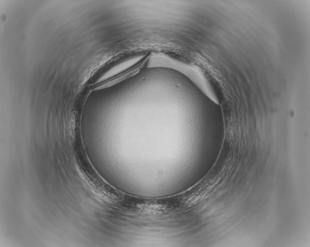 X0000087350448200705111624