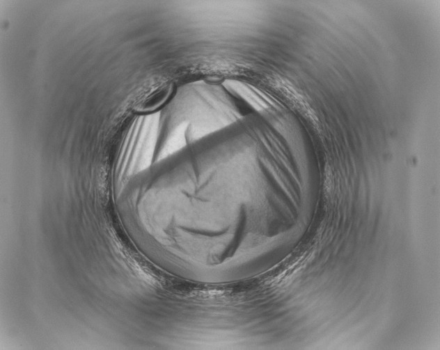 X0000087350449200705111624