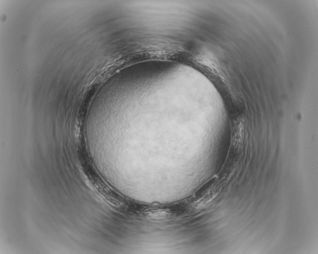 X0000087350456200705111624