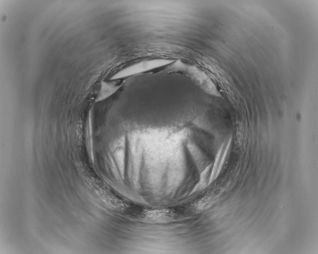 X0000087350461200705111624
